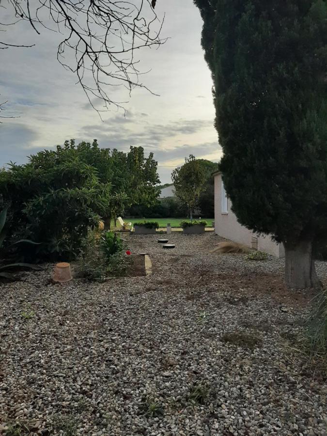 Tranquillite Gite Cuxac-dʼAude エクステリア 写真